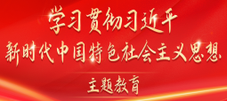 学习贯彻习近平新时代中国特色社会主义思想主题教育